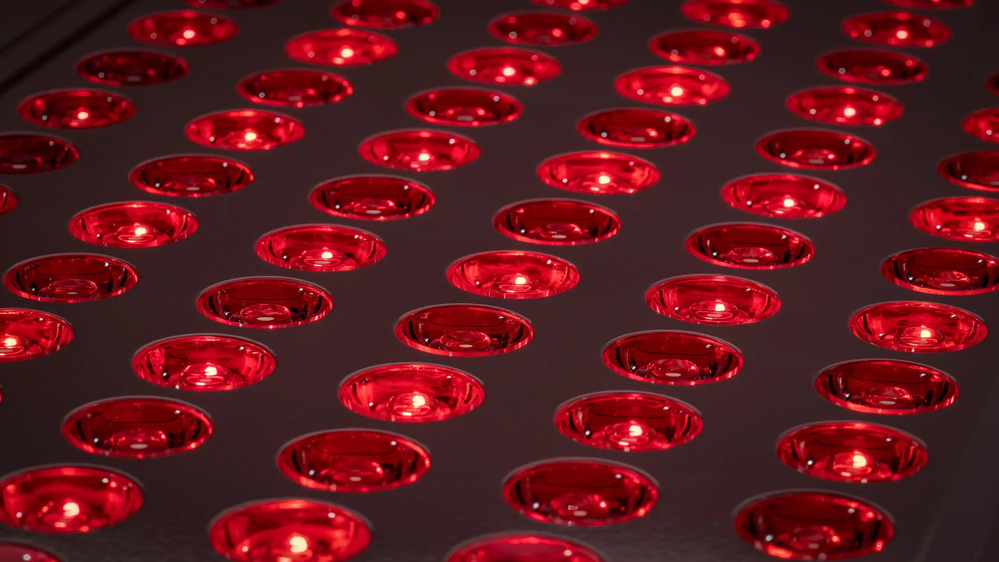 regenerative_red-light-therapy-panel_skin-health_pain-relief_recovery_muscle-performance_inflammation-reduction